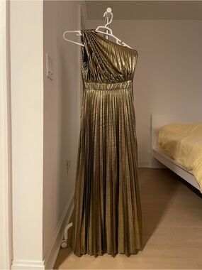 Aomei One-Shoulder Metallic Gold Pleated Gown
